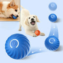 Bola de Silicone Automática Inteligente Para Pets