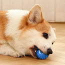 Bola de Silicone Automática Inteligente Para Pets