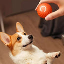 Bola de Silicone Automática Inteligente Para Pets